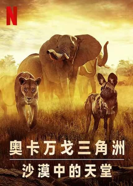 [Netflix] 幸存的天堂 / Surviving Paradise: A Family Tale-纪录片资源1080P/720P/360P高清标清网盘迅雷下载