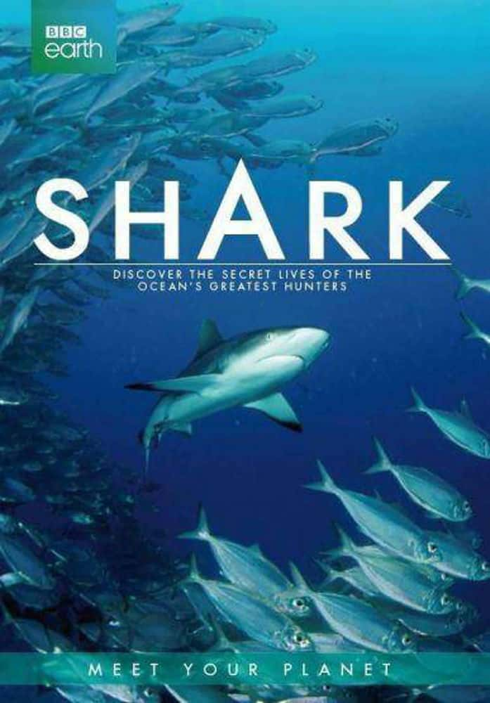 [BBC] 鲨鱼 / Shark-纪录片资源1080P/720P/360P高清标清网盘迅雷下载