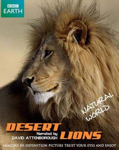 [其他] 沙漠狮 / Desert Lions-纪录片资源1080P/720P/360P高清标清网盘迅雷下载