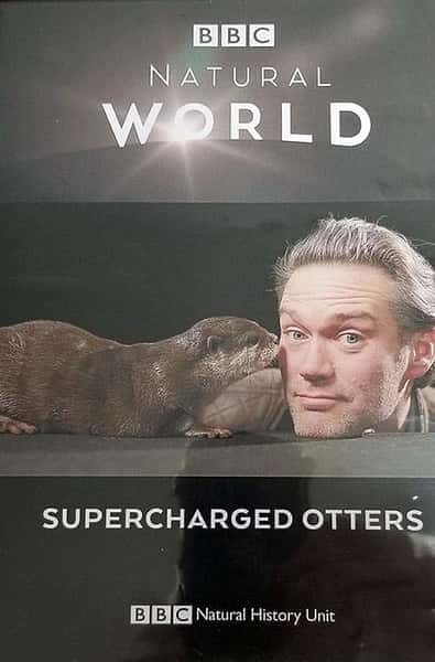 [BBC] 超能水獭 / Supercharged Otter-纪录片资源1080P/720P/360P高清标清网盘迅雷下载