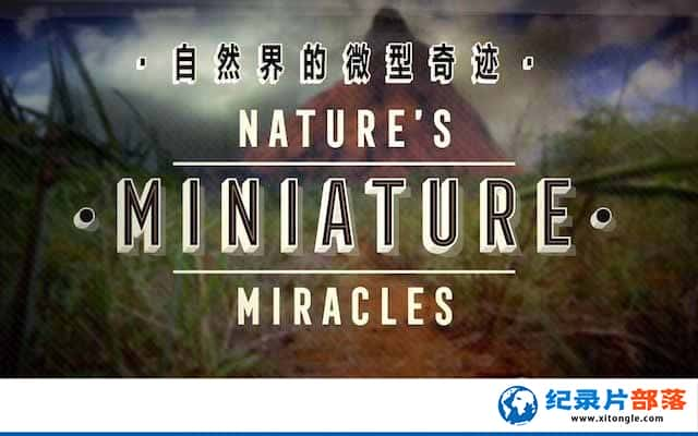 Ȼ̬¼ƬȻ΢漣 Natures Miniature miraclesȫ1-Ѹ