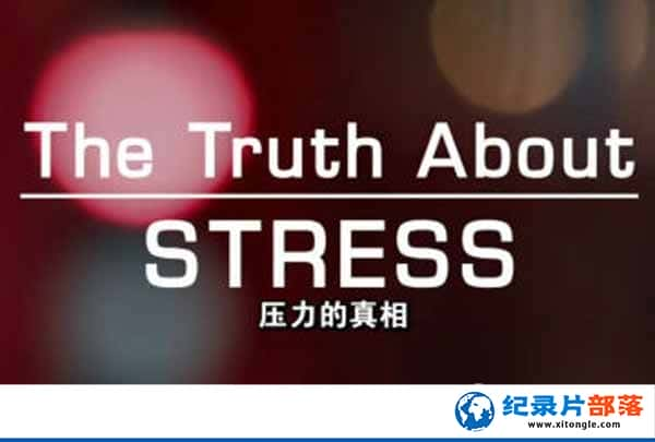 BBC¼Ƭѹ The Truth About Stressȫ1 -Ѹ