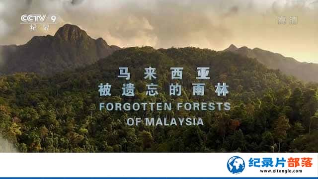 Ȼ̬¼ƬǱ Forgotten Forests of Malaysiaȫ1-Ѹ