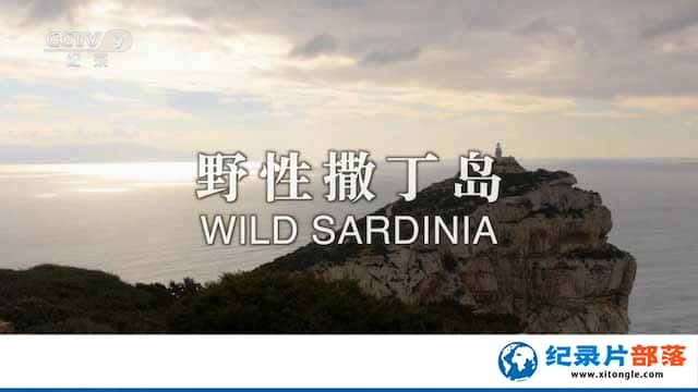 Ȼ̬¼ƬҰ Wild Sardiniaȫ1-Ѹ