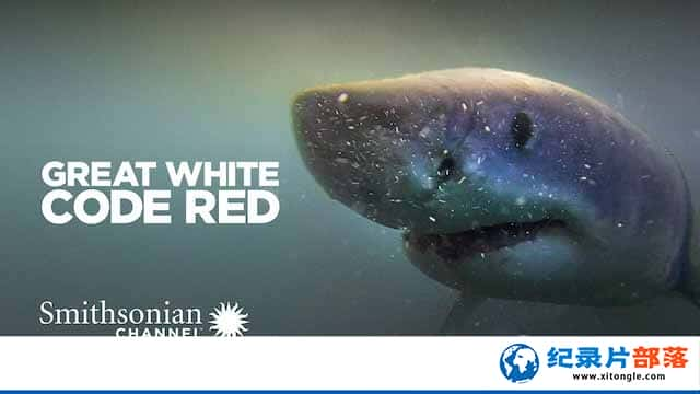 ¼Ƭй̽ Great White Code Redȫ1-Ѹ