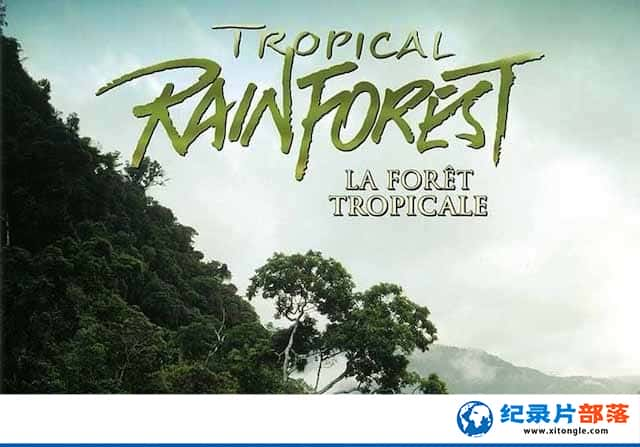 IMAXȻ̬¼Ƭȴ Tropical Rainforestȫ1-Ѹ