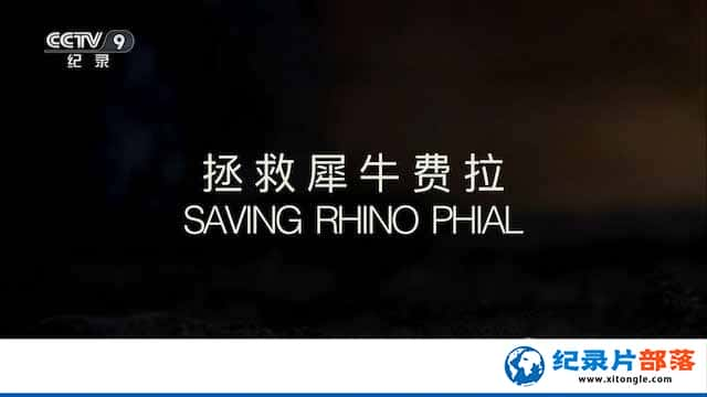 BBCҰﱣ¼ƬϬţ Saving Rhino Phialȫ1-Ѹ