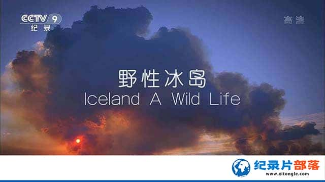 BBCȻ̬¼ƬҰԱ Iceland A Wild Lifeȫ3-Ѹ