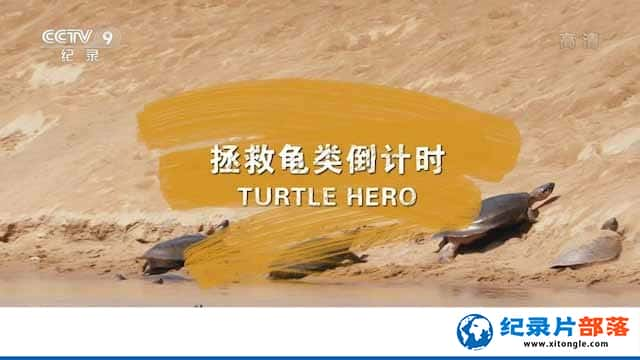 Ӷﱣ¼Ƭڹ굹ʱ Turtle Heroȫ1-Ѹ