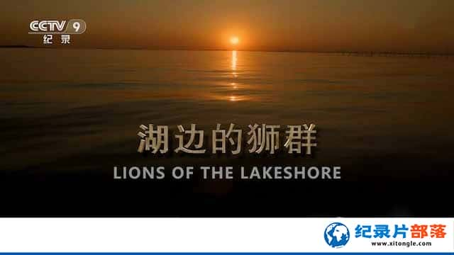 BBCҰ¼ƬߵʨȺ Lions of the Lakeshoreȫ1-Ѹ