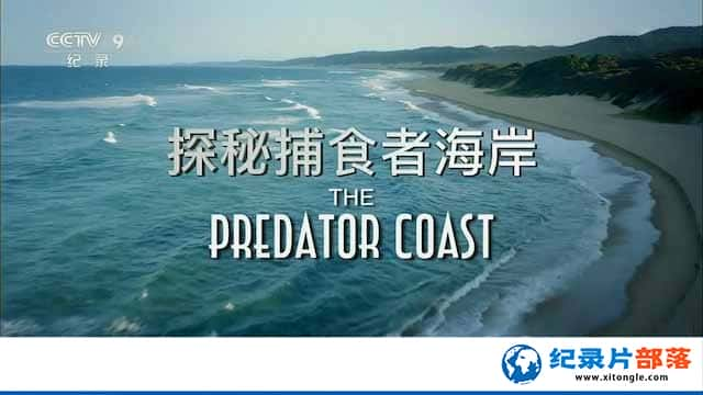 Ȼ̬¼Ƭ̽زʳߺ The Predator Coastȫ1-Ѹ