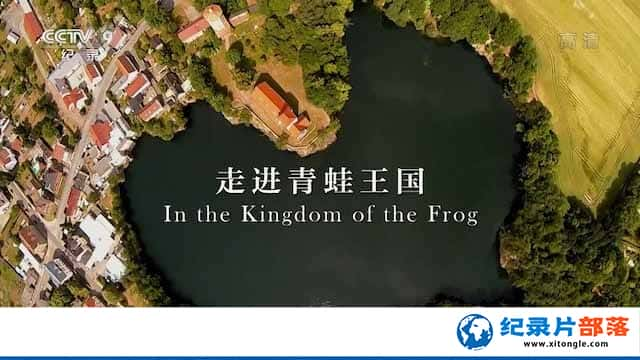 ¹ܶ¼Ƭ߽ In the Kingdom of the Frogȫ1-Ѹ