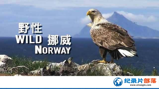 Ȼ̬¼ƬҰŲ Wild Norwayȫ1-Ѹ