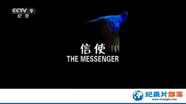 ¼Ƭʹ The Messengerȫ1-Ѹ