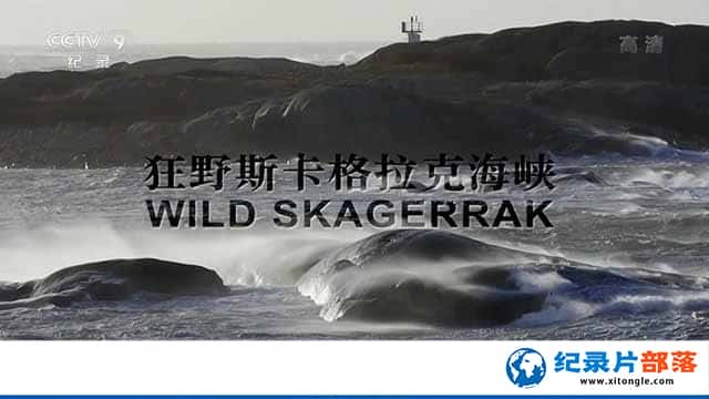 Ȼ̬¼ƬҰ˹˺Ͽ Wild Skagerrakȫ1-Ѹ