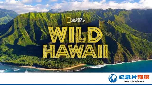 ҵȻ̬¼ƬҰ Wild Hawaiiȫ2 վ-Ѹ