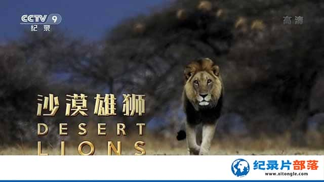 Ұ¼ƬɳĮʨ Desert Lionsȫ1-Ѹ