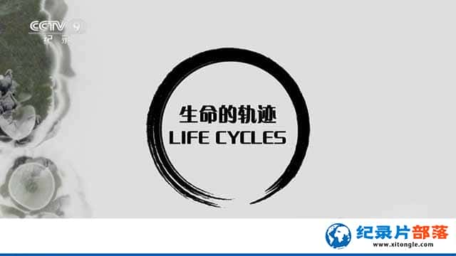 BBCо¼ƬĹ켣 Life Cyclesȫ6-Ѹ