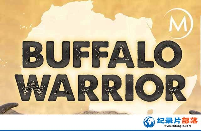 ҵҰо¼Ƭˮţսʿ Buffalo Warriorȫ1-Ѹ