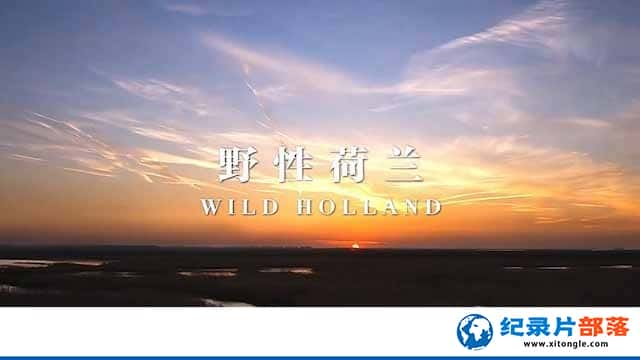 Ȼ̬¼ƬҰԺ Wild Hollandȫ2-Ѹ