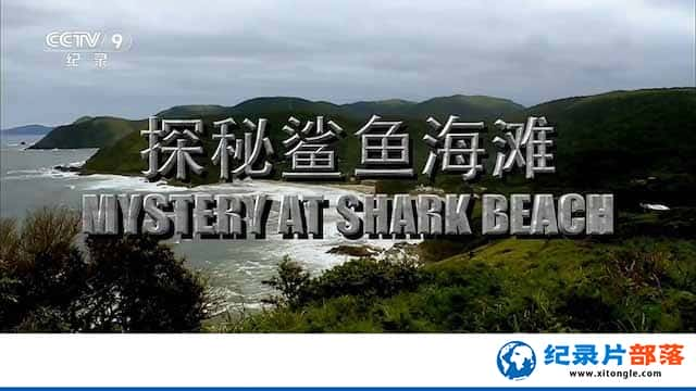 㹥¼¼Ƭ̽㺣̲ Mystery at Shark Beachȫ1-Ѹ