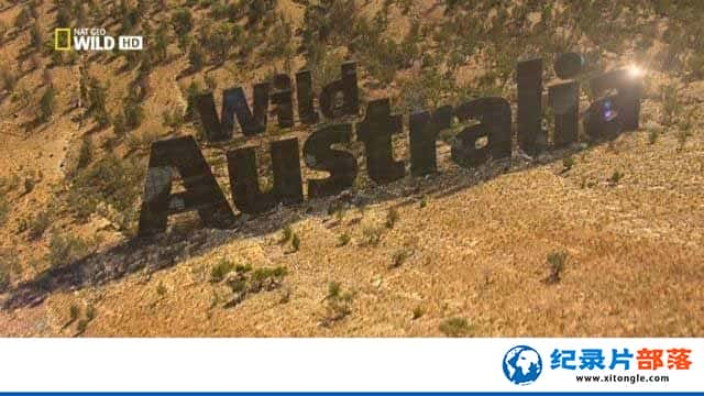 Ȼ̬¼ƬҰ԰Ĵ Wild Australiaȫ5-Ѹ