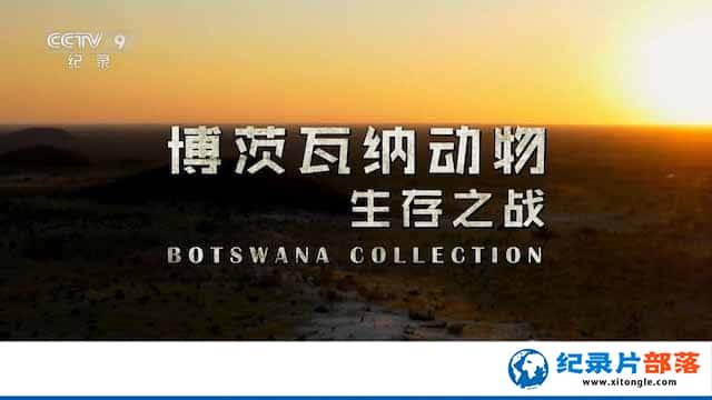 Ȼ̬¼Ƭɶ֮ս Botswana Collectionȫ3-Ѹ