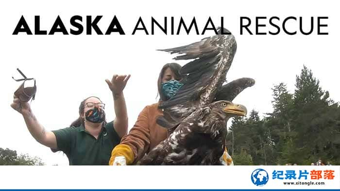 ҵﱣ¼Ƭ˹ҰԮ Alaska Animal Rescue2-Ѹ