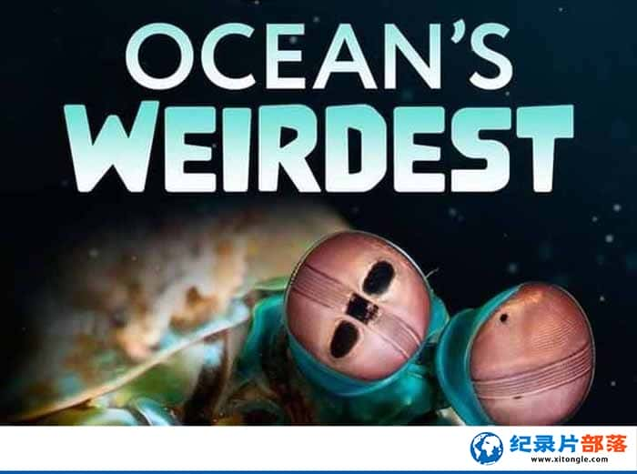 ҵйֿͼ¼Ƭĺ Oceans Weirdest1 -Ѹ