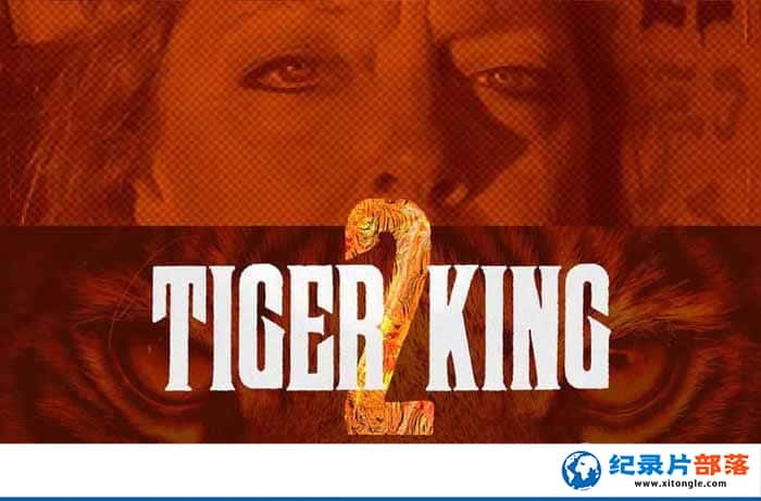 Netflixɼ¼ƬΪ Tiger King2 -Ѹ