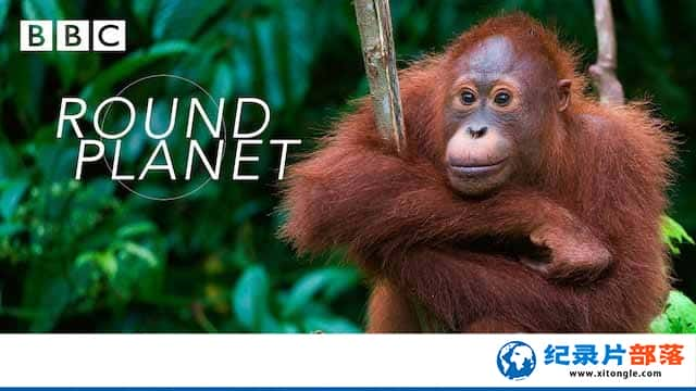 BBCȻ̬¼ƬȦ Round Planetȫ5-Ѹ