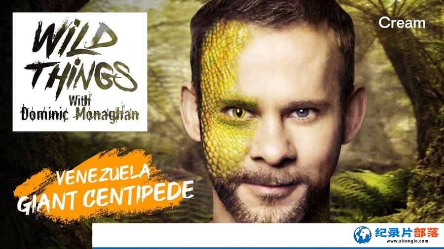 ޼¼ƬȫӴ Wild Things with Dominic Monaghan3ȫ10  վ-Ѹ