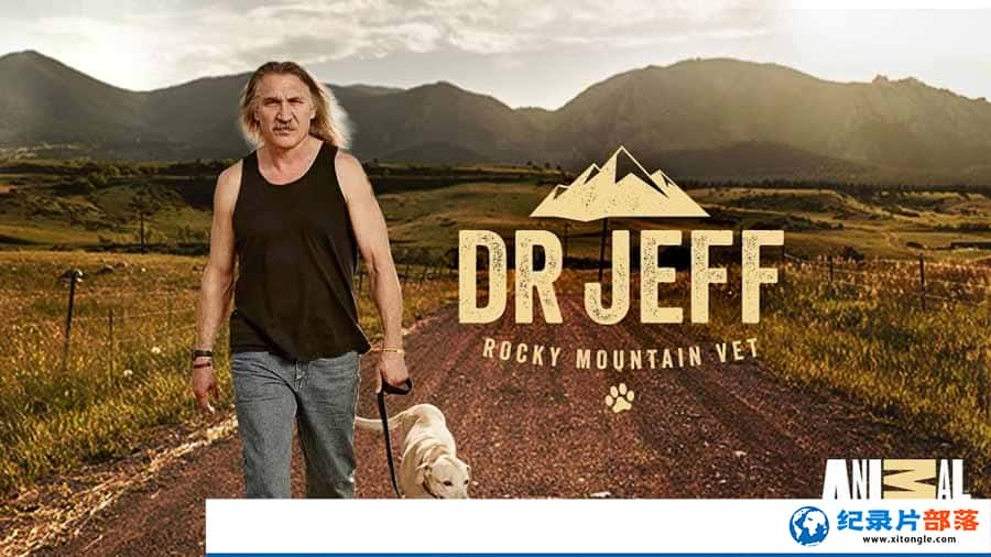 μ¼ƬѪҽʦ Dr. JeffRocky Mountain Vet3ȫ12  /-Ѹ