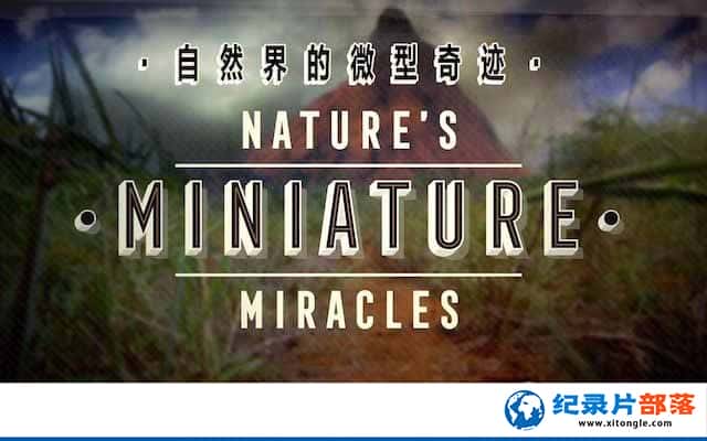 ¼ƬȻ΢漣 Natures Miniature miracles-