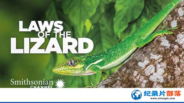 ¼Ƭ淨 Laws of the Lizard-