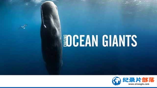¼Ƭ׷ٺ Chasing Ocean Giants-