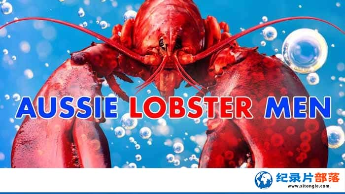 ¼Ƭ޲Ϻ Aussie Lobster Men-