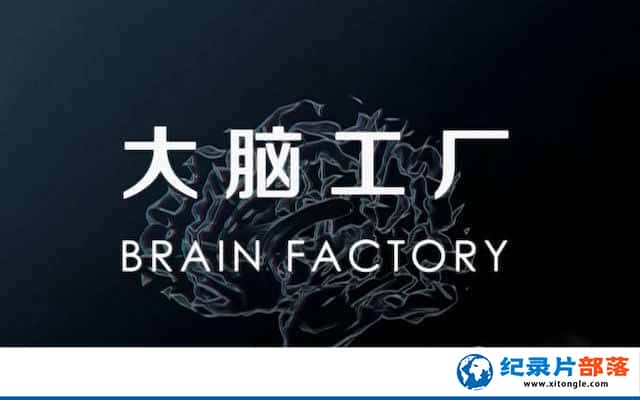 ¼ƬԹ Brain Factory-