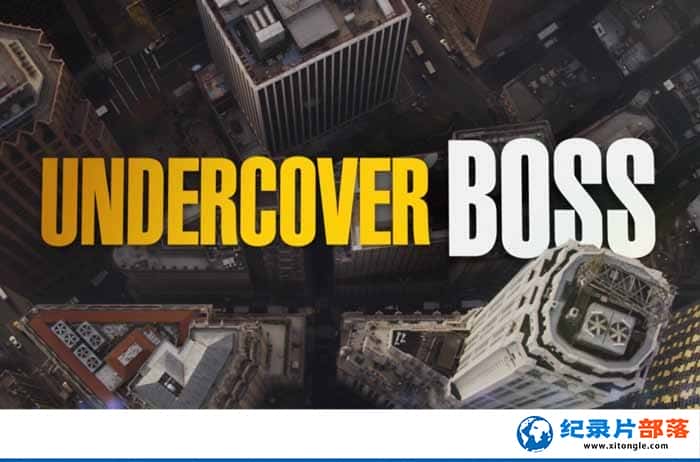 ¼ƬԵϰ Undercover Boss-