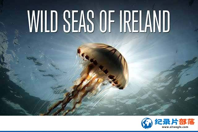 ¼ƬҰ֮-̽ Wild Seas of Ireland-