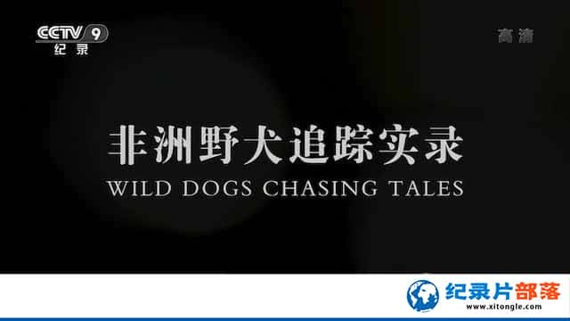 ʺϸҰ¼Ƭȫ4 TS/ƼҰȮ׷ʵ¼ Wild Dogs Chasing Talesȫ4 TS/-¼ƬԴٶѸ1080P/720P