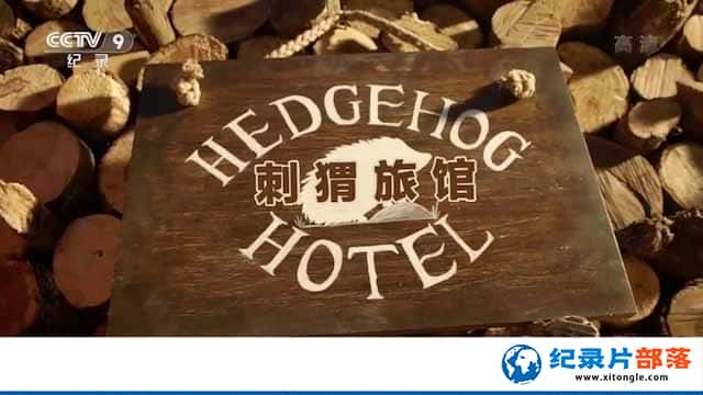 ¼Ƭù Hedgehog Hotel-