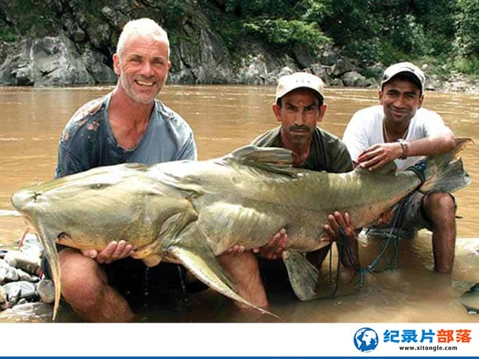 ¼Ƭо޹ River Monsters-