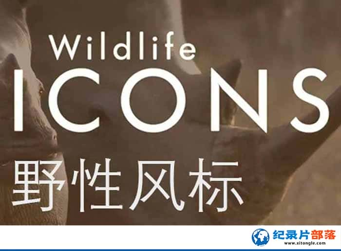 ¼ƬҰԷ Wild Life Icons-