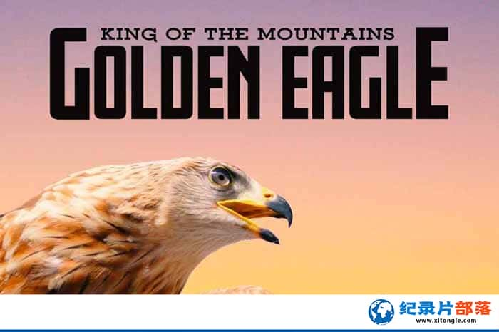 ¼Ƭɽʿ  King of the Mountains:The Golden Eagle-