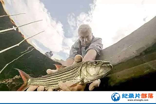 ¼Ƭо޹ River Monsters-