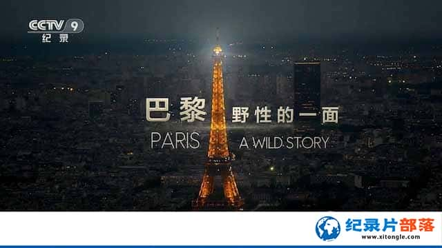 ¼Ƭ:ҰԵһ Paris C A Wild Story-