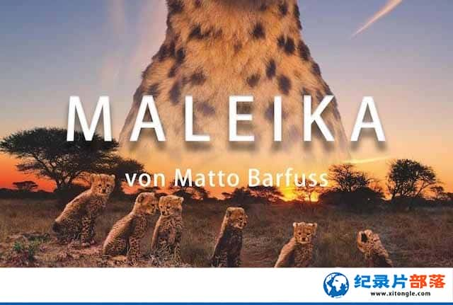 ¼Ƭޣ԰ Maleika-