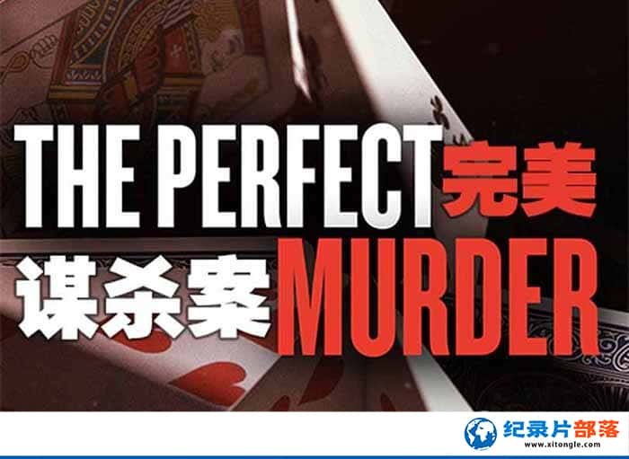 ¼Ƭıɱ The Perfect Murder-