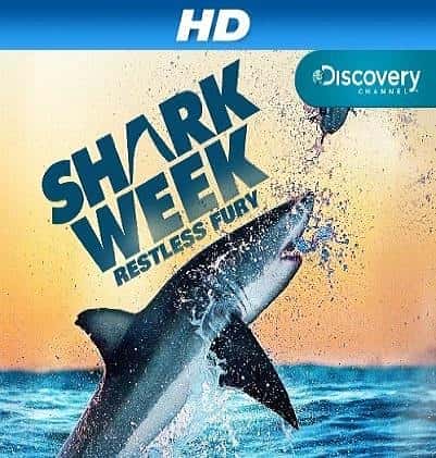 其他探索纪录片《探秘鲨鱼海滩 / Sharkbite Beach》-纪录片资源1080P/720P/360P高清标清网盘迅雷下载